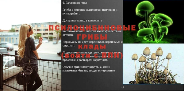 каннабис Арсеньев