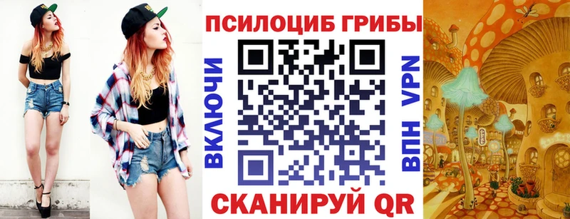 Псилоцибиновые грибы ЛСД  Купить закладки  Топки 